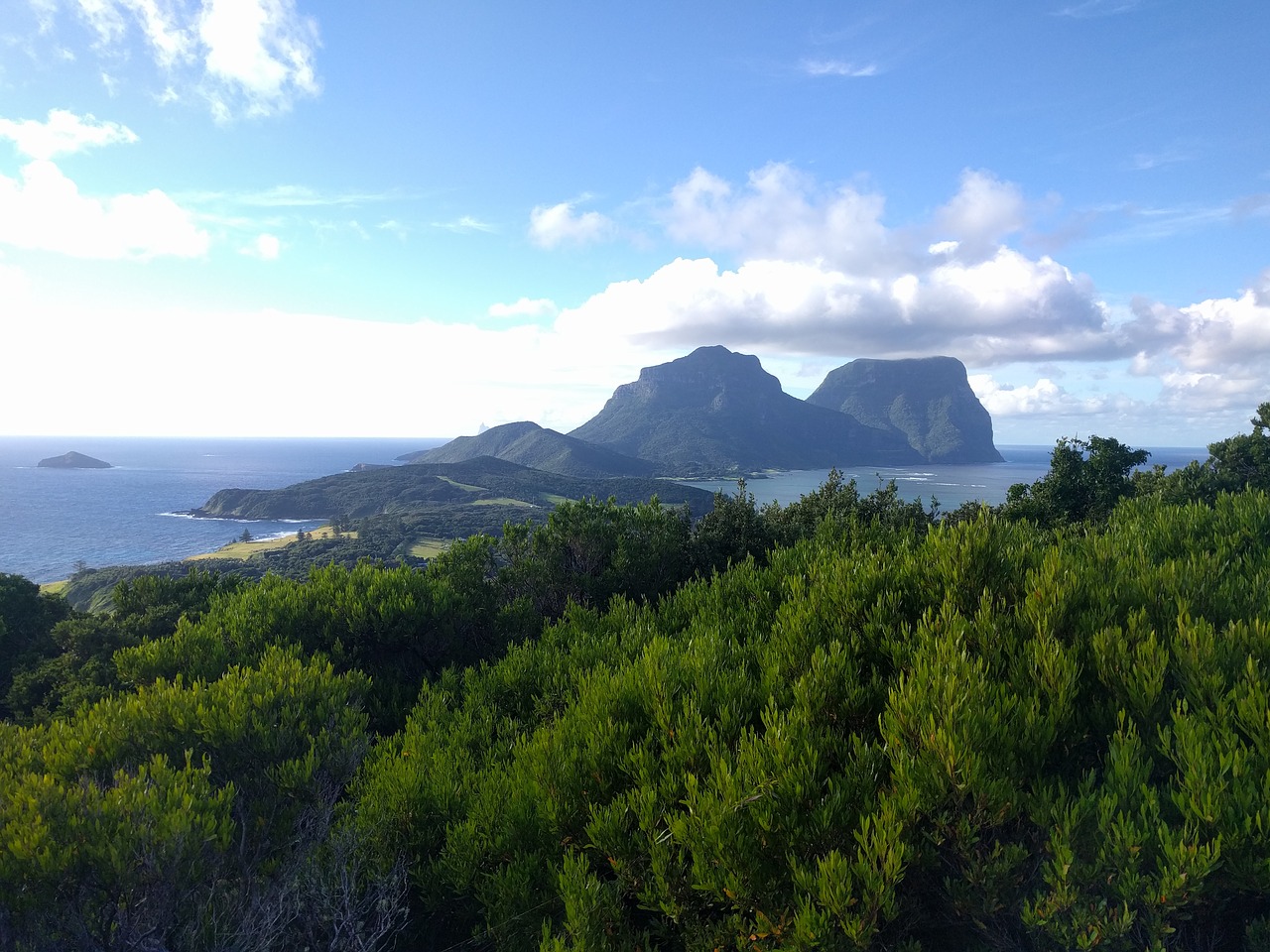 Image - ocean mountain bush scenic