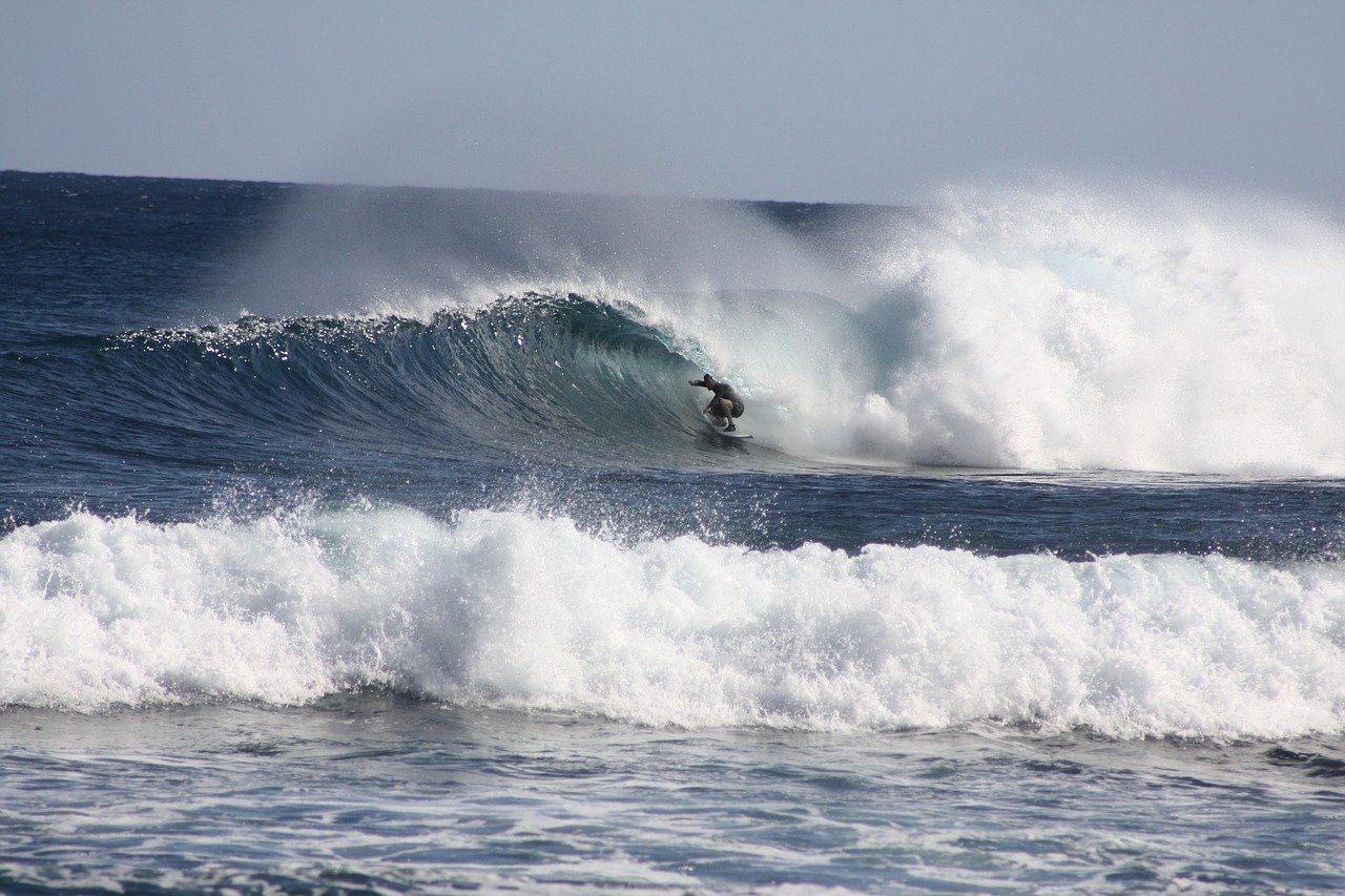 Image - reef surf waves surfing ocean sea