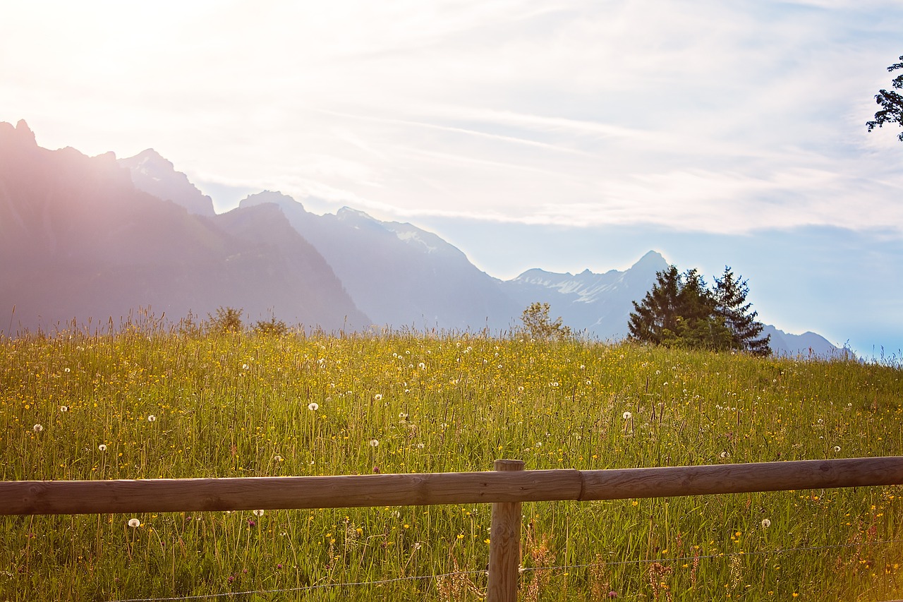 Image - outlook landscape meadow mountains