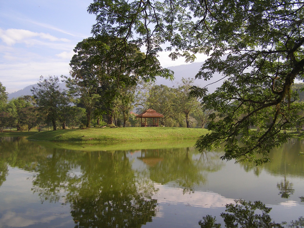 Image - lake garden taiping nature park