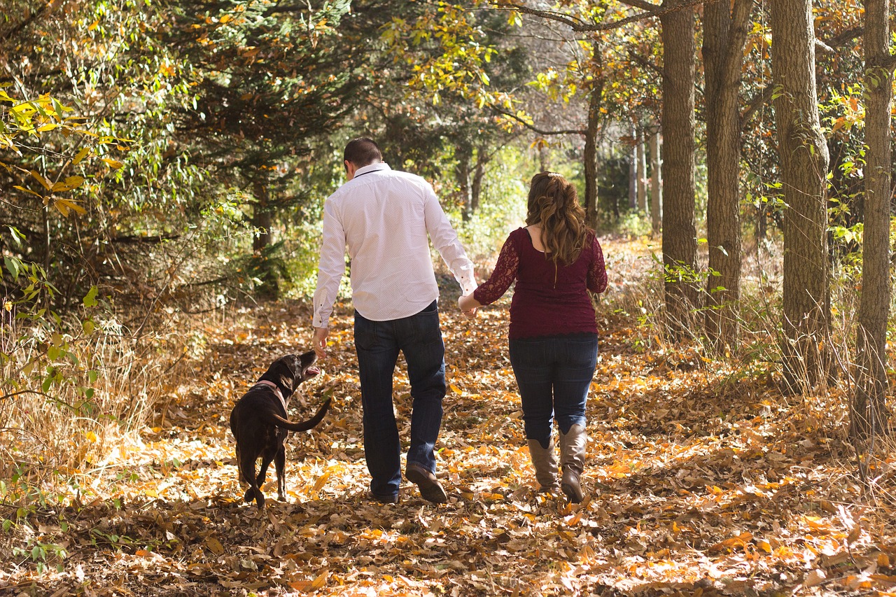 Image - family walking woods fall autumn