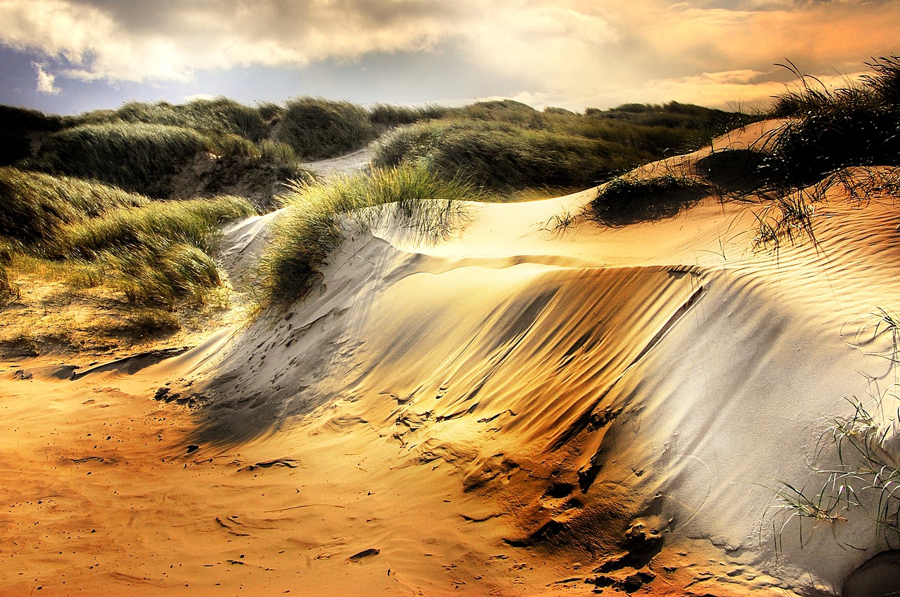 Image - dunes north sea beach denmark sea