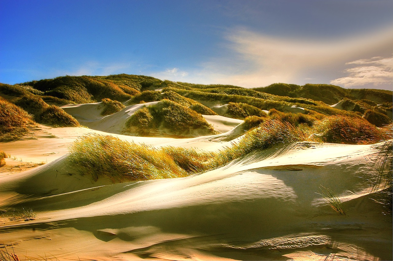 Image - dunes north sea beach denmark sea