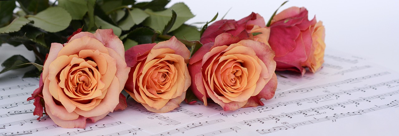 Image - roses orange flowers sheet music