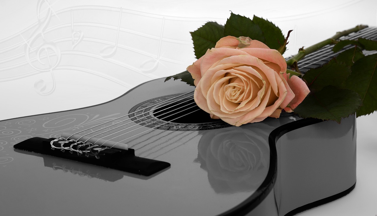 Image - guitar rose apricot coupon music