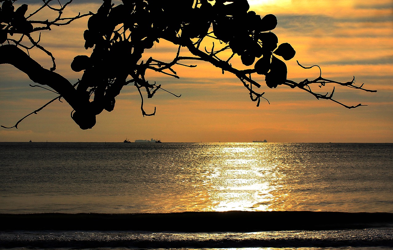 Image - beach itajai santa catarina peace