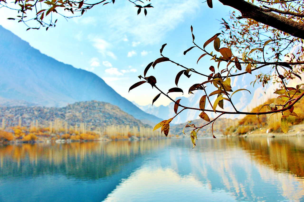 Image - tree lake pakistan nature