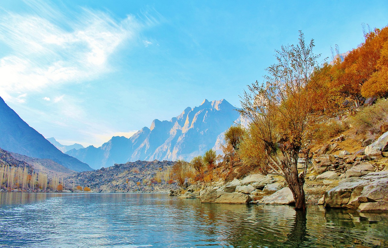 Image - tree lake pakistan nature