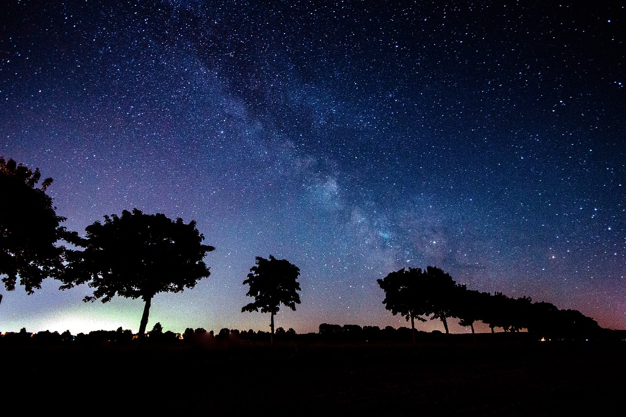 Image - star milky way trees shadow