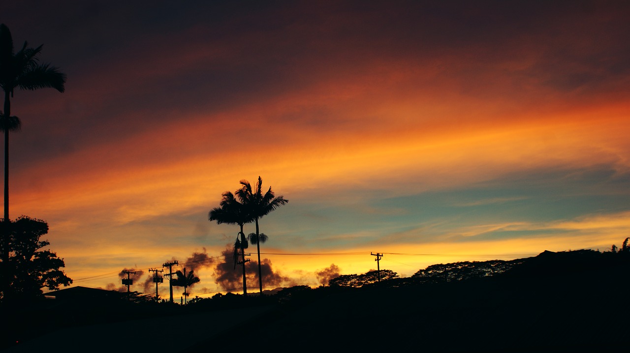 Image - sunset trees clouds red