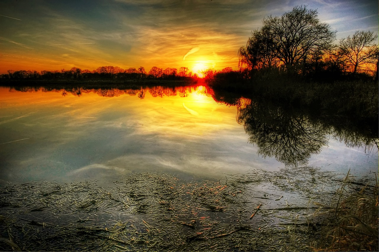 Image - sun pond water nature lake