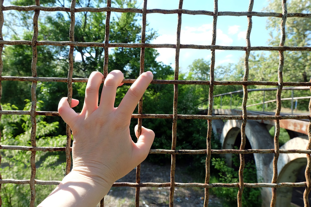 Image - grille bridge hand freedom