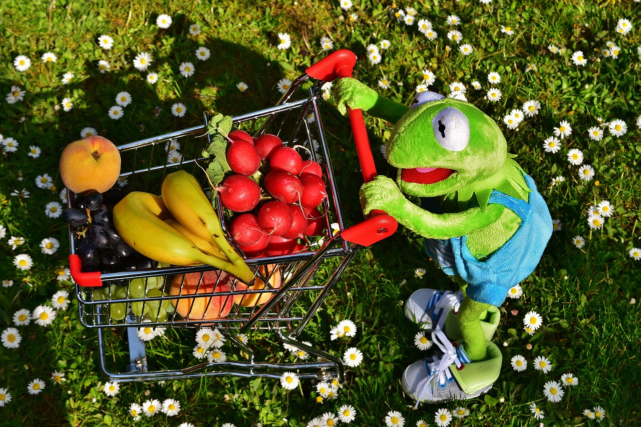 Image - kermit shopping cart
