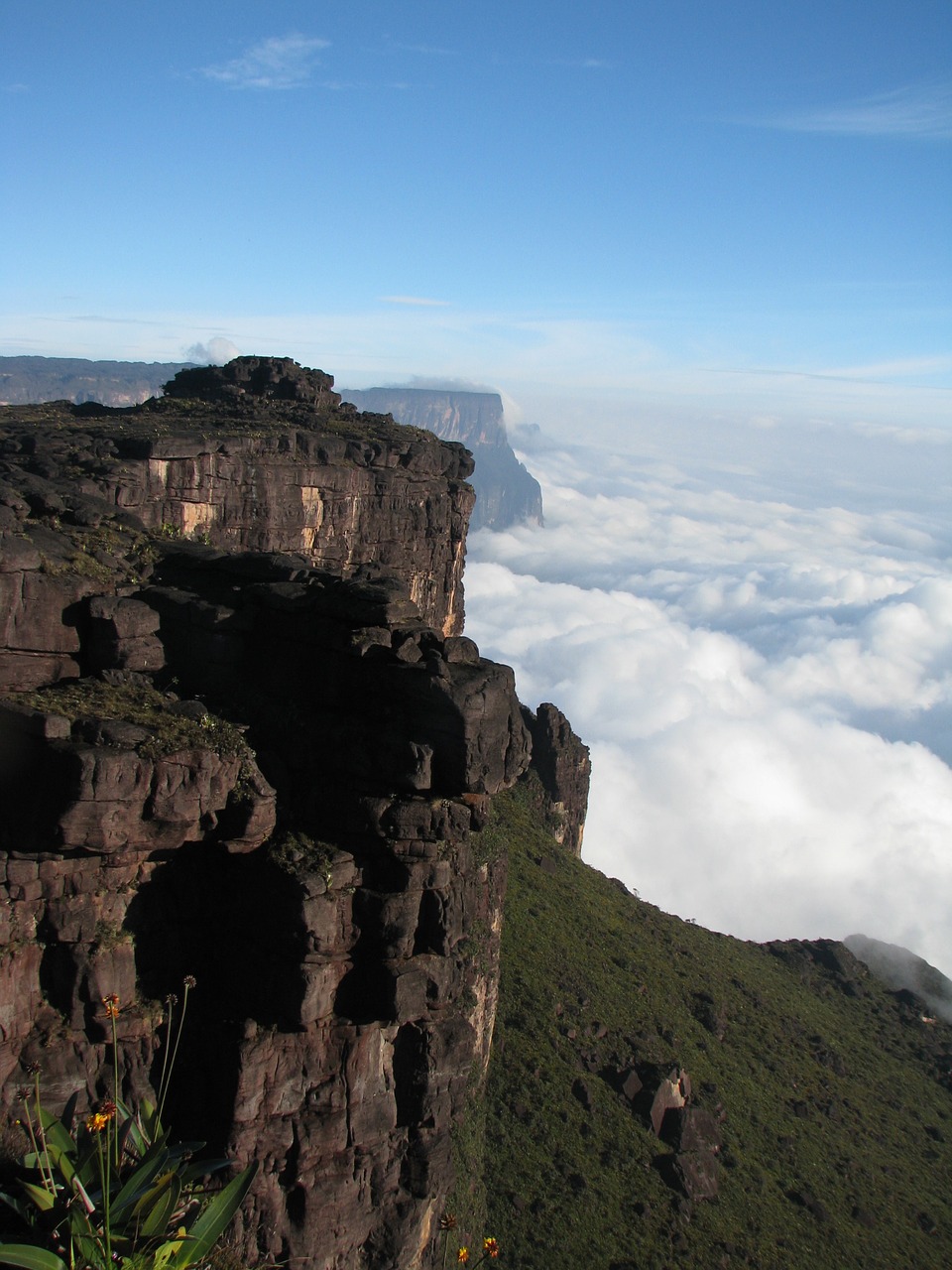 Image - nature roraima canaima