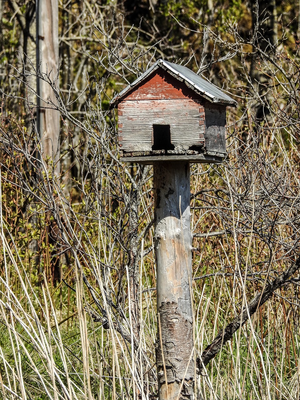 Image - feeder house bird feed tree food