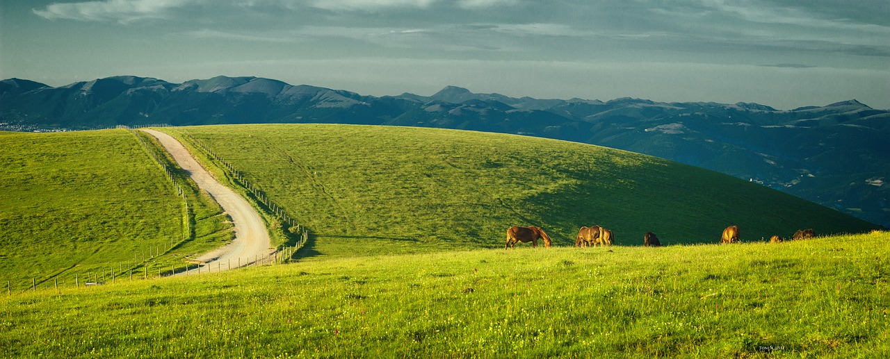 Image - umbria italy monte subasio horses