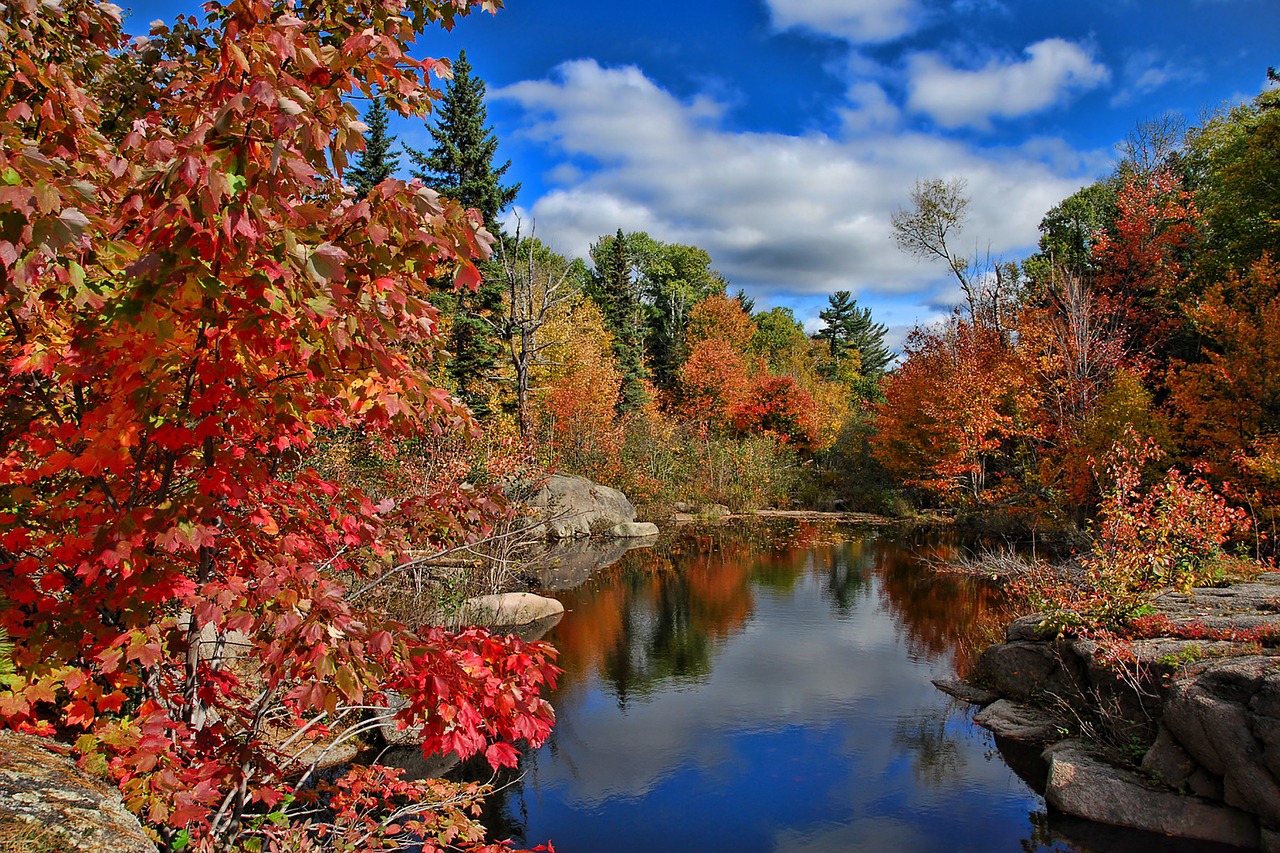 Image - canada autumn fall new brunswick