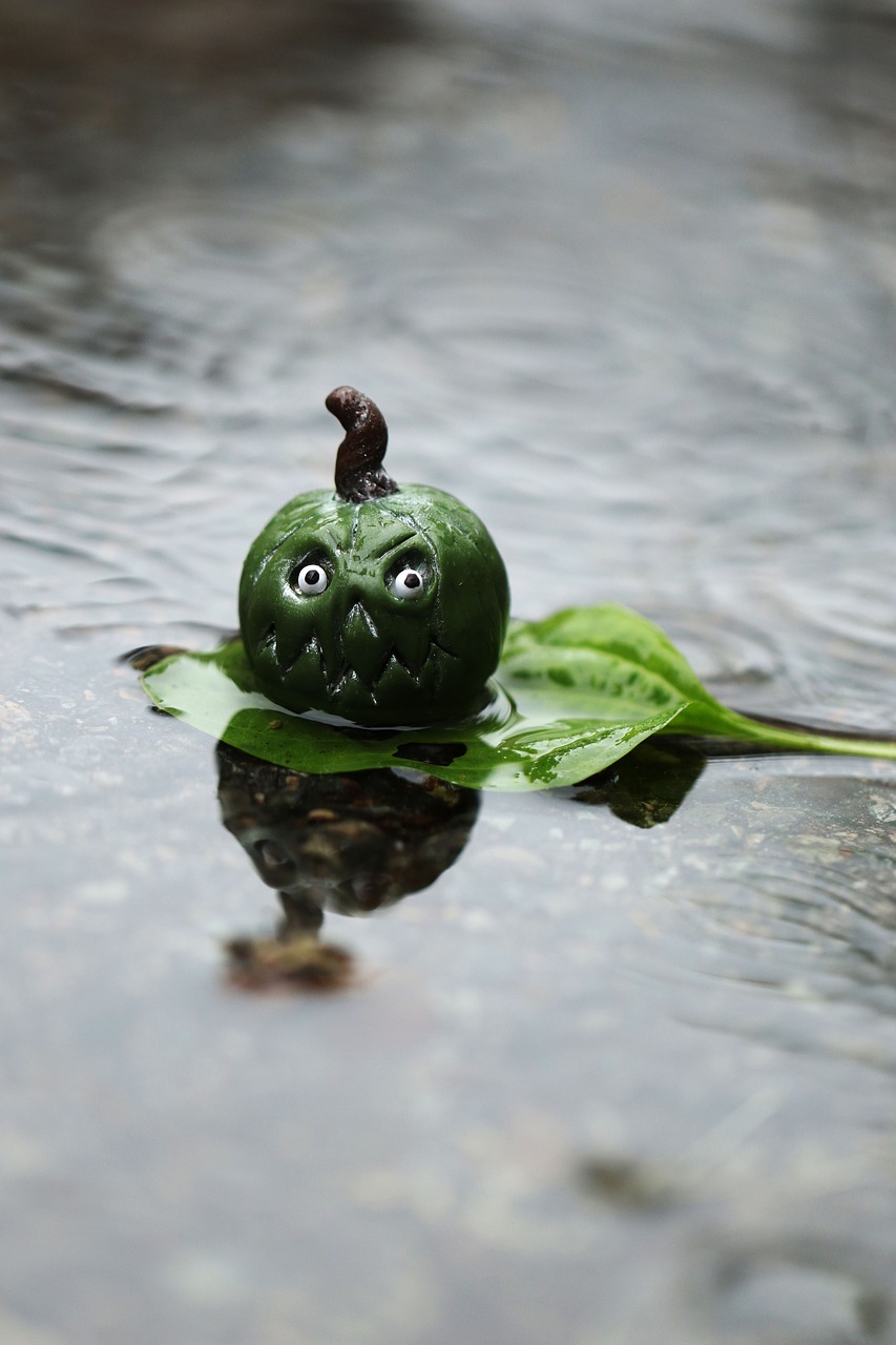 Image - water leaf figure rain tiny