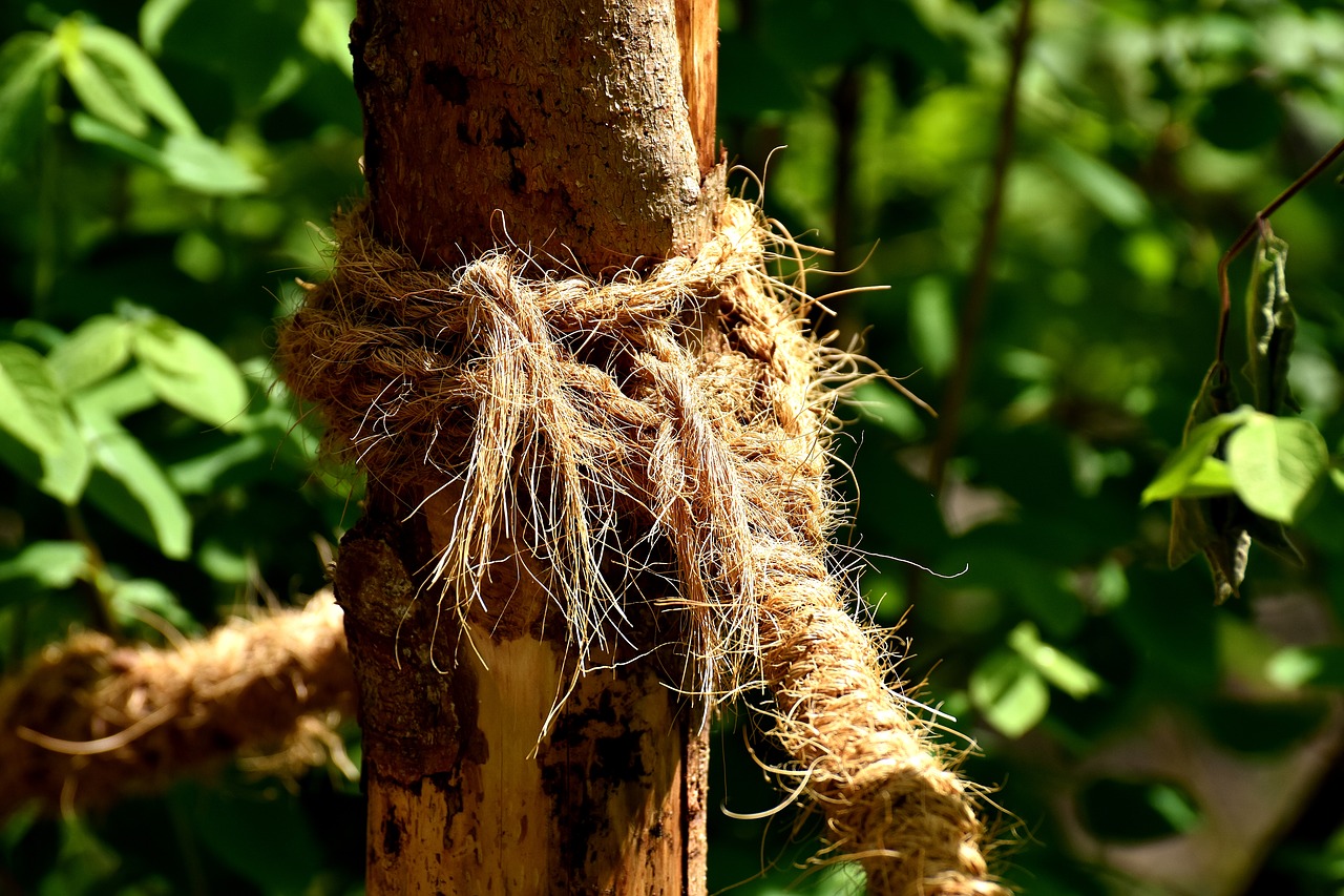 Image - rope thick knot dew fixing