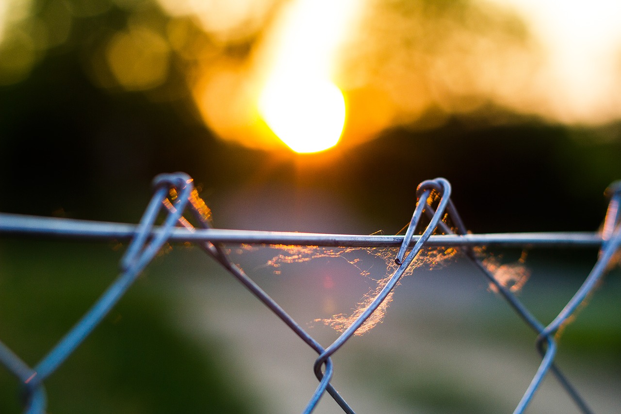 Image - nature sunset fence in the evening