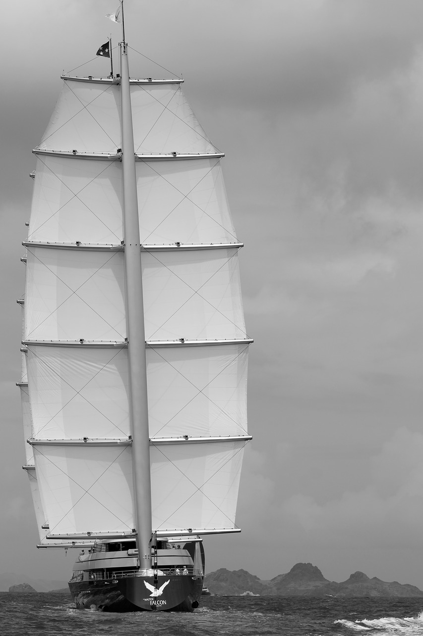 Image - sailboat sea boats race navigation