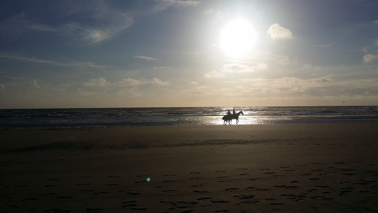 Image - horse riding beach sandy beach