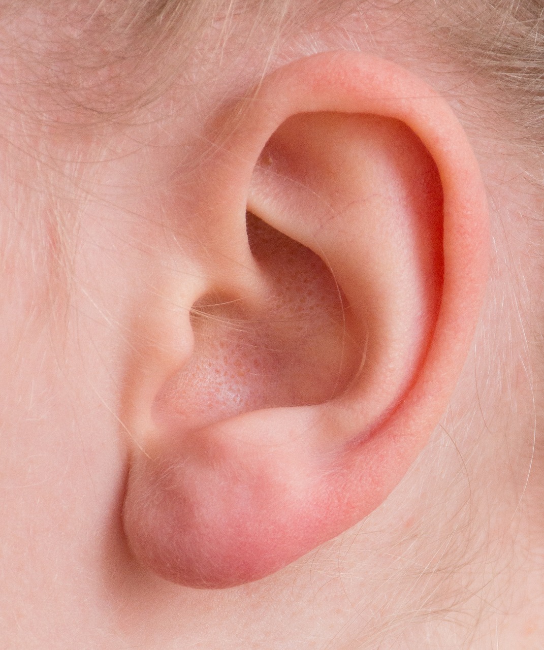 Image - ear auricle listen hearing