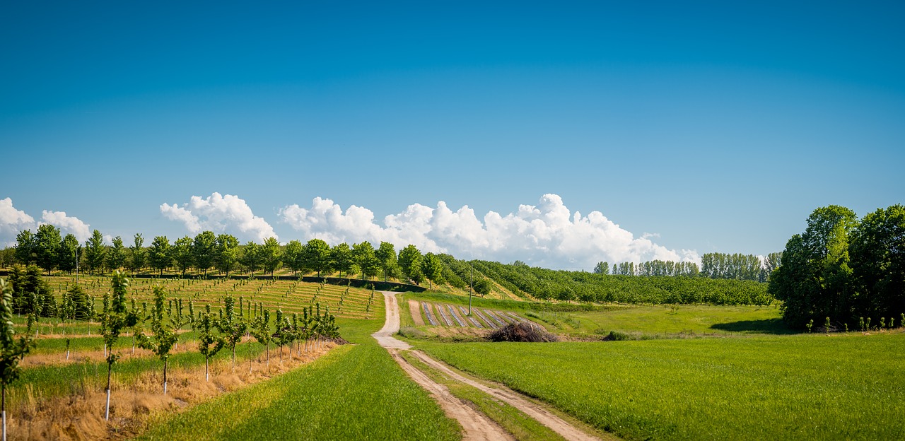 Image - orchard farming fruit agriculture