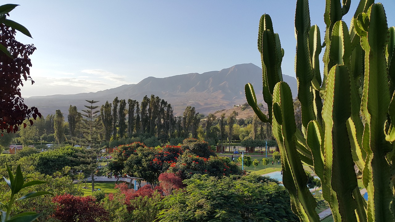 Image - landscape moquegua peru hills