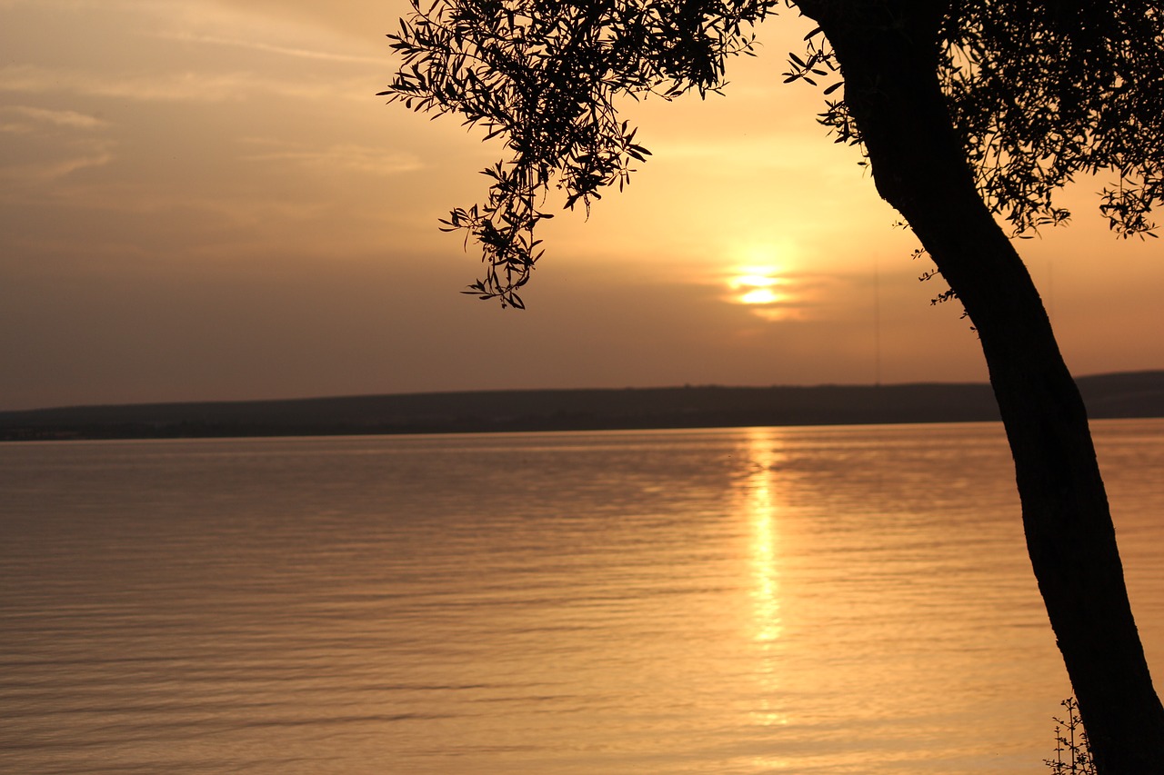 Image - didim turkey marine landscape