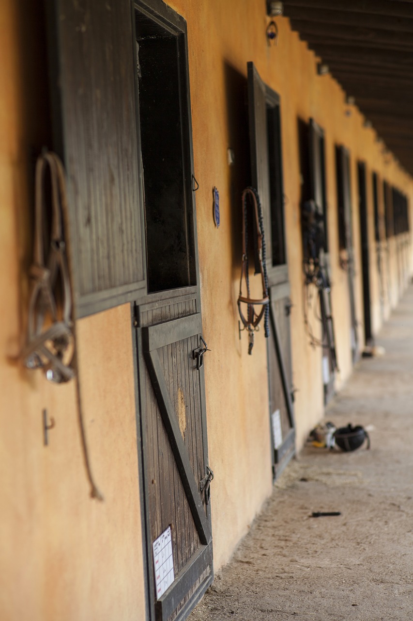 Image - barn horse animal room concrete