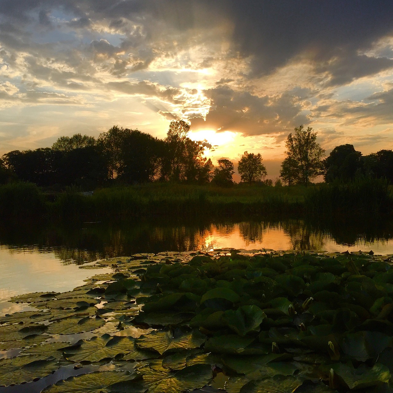 Image - fishing norfolk water wildlife