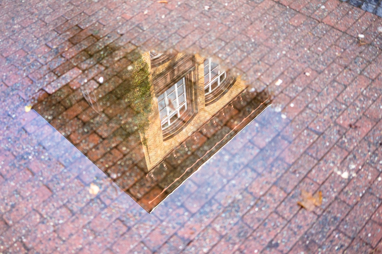 Image - mirroring puddle building