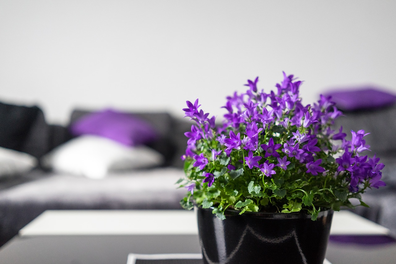 Image - violet interior setup flowers