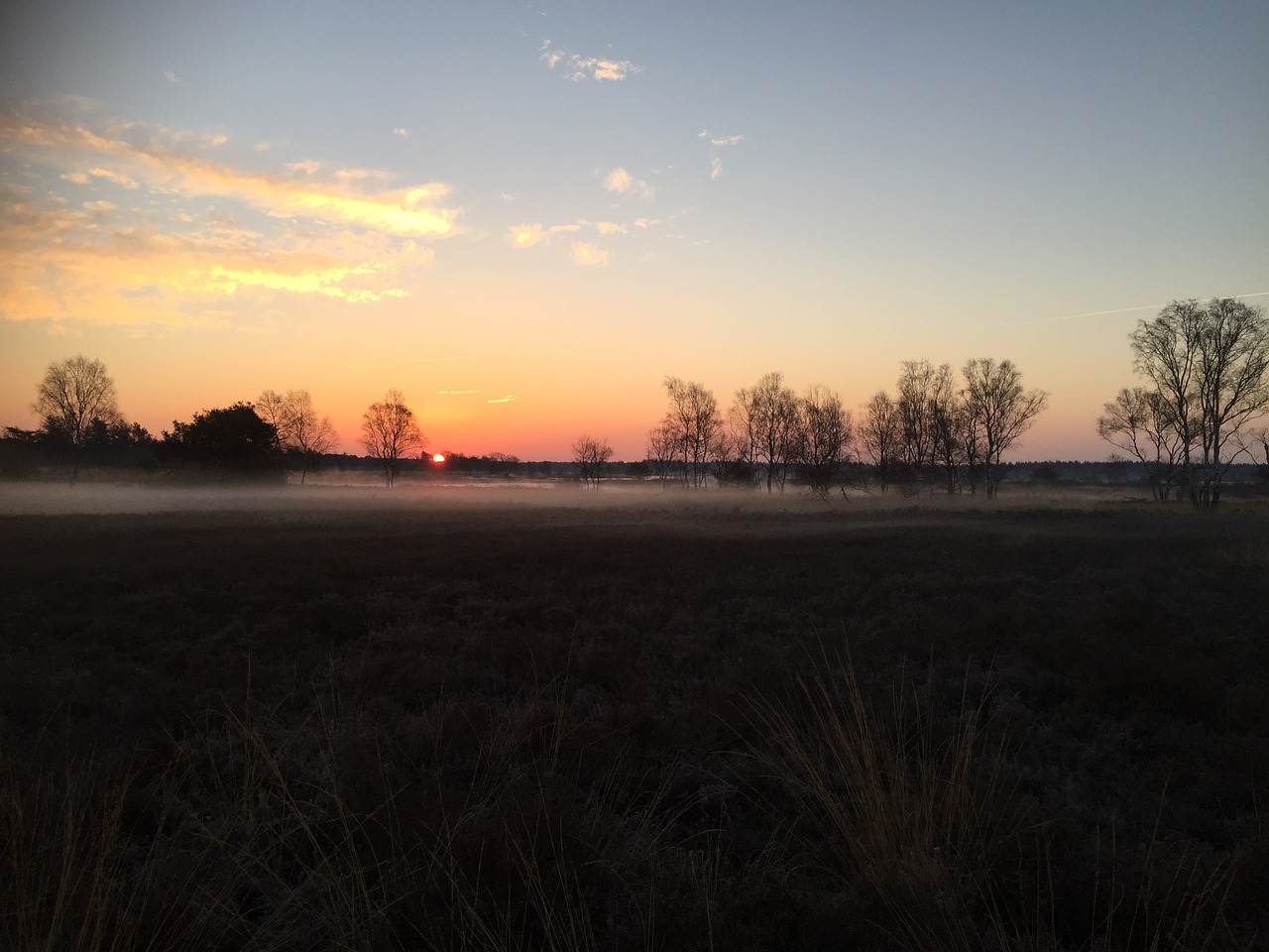 Image - heide evening nature