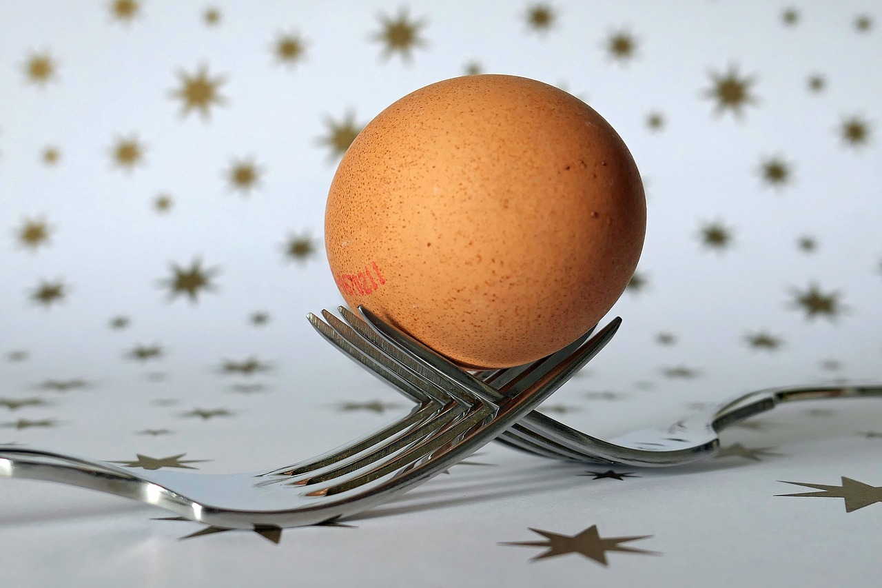 Image - fork egg cutlery food