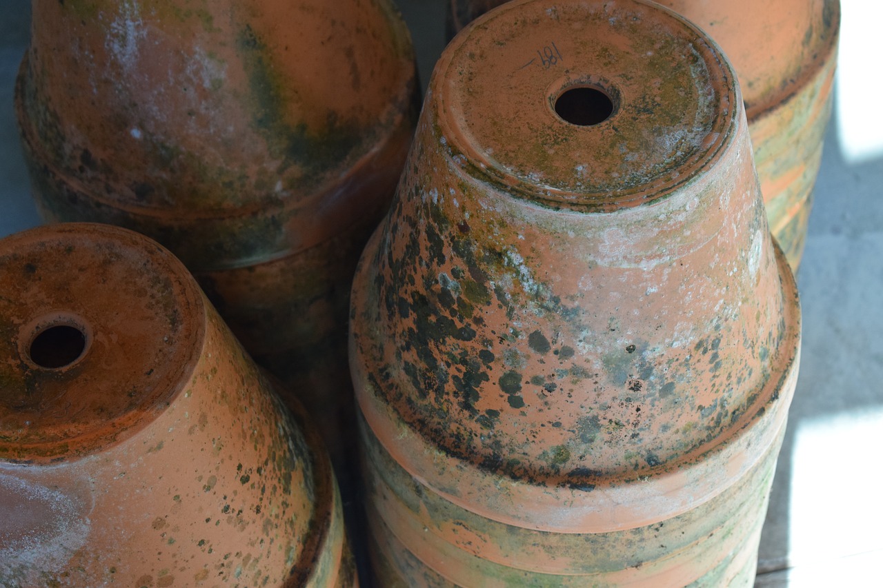 Image - pots cultivation flowers garden