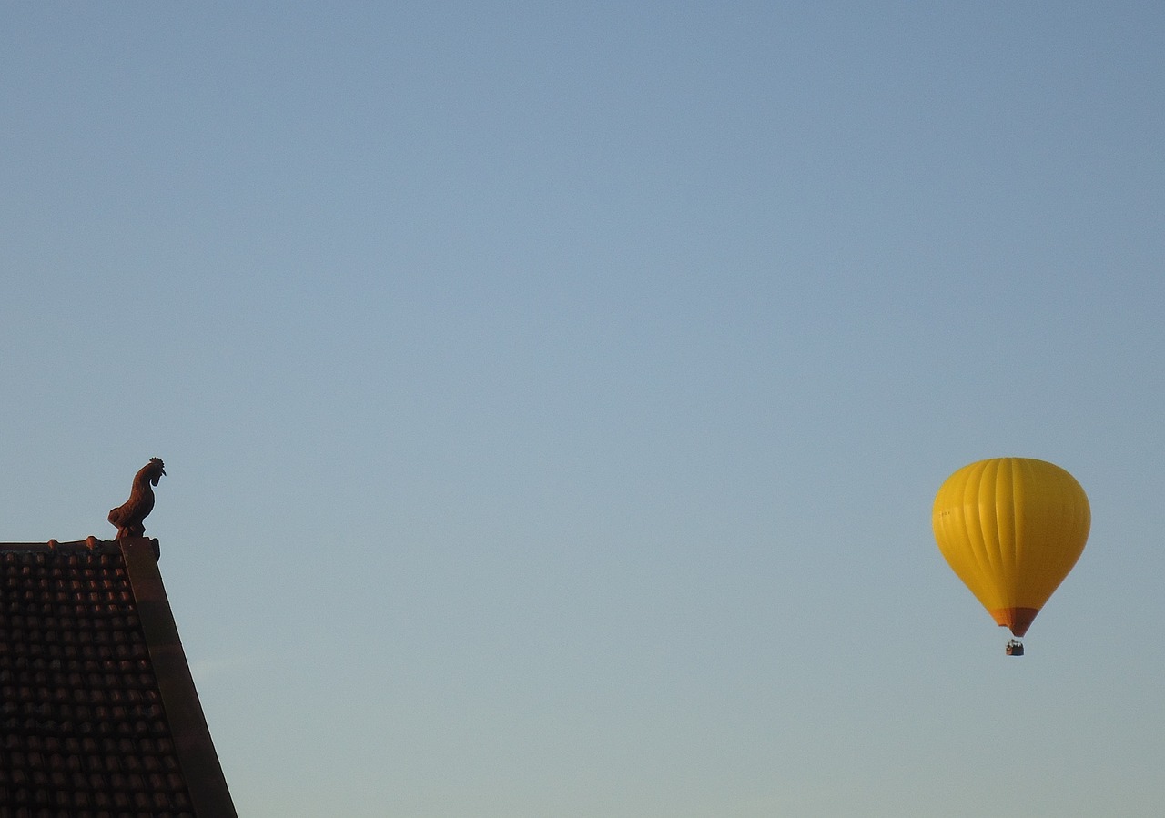 Image - it hot air balloon it coconut