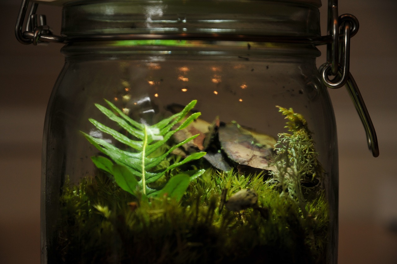 Image - aquarium green glass