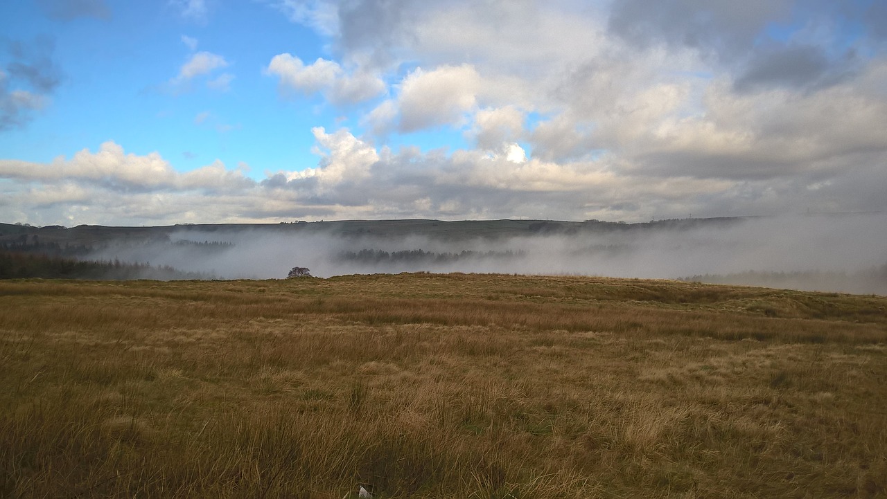 Image - landscape mist moor