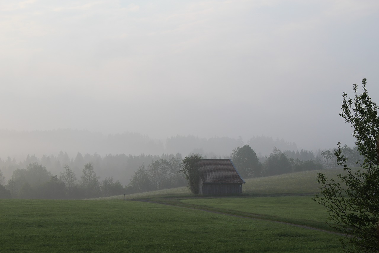 Image - germany fog mist scenic bavaria