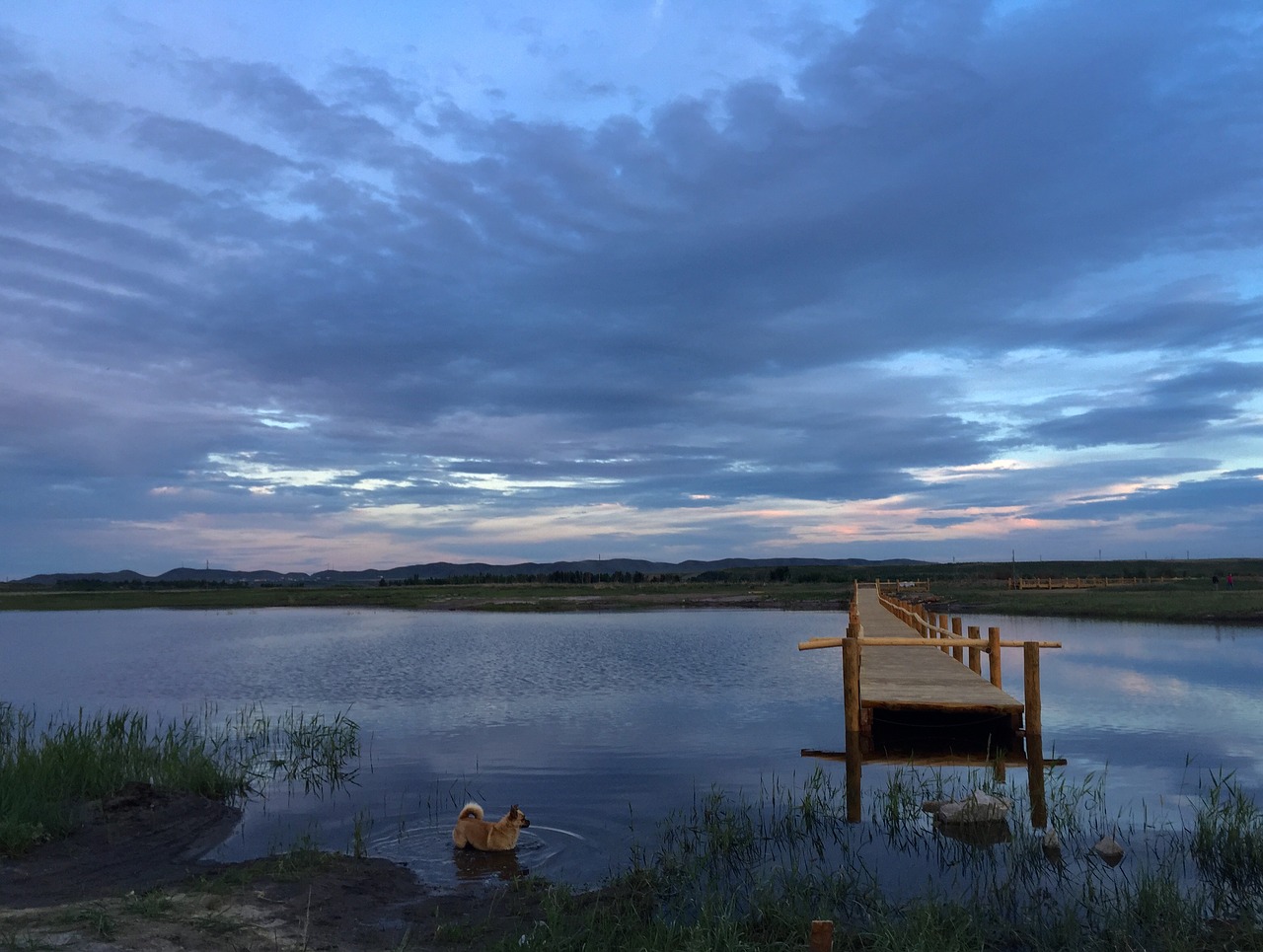 Image - sky dog water bridge sunset