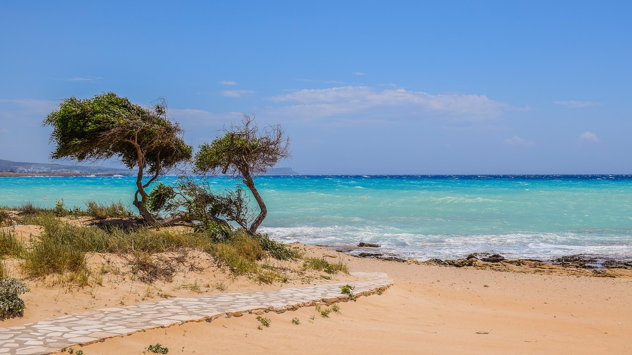 Image - tree dunes path sea beach nature