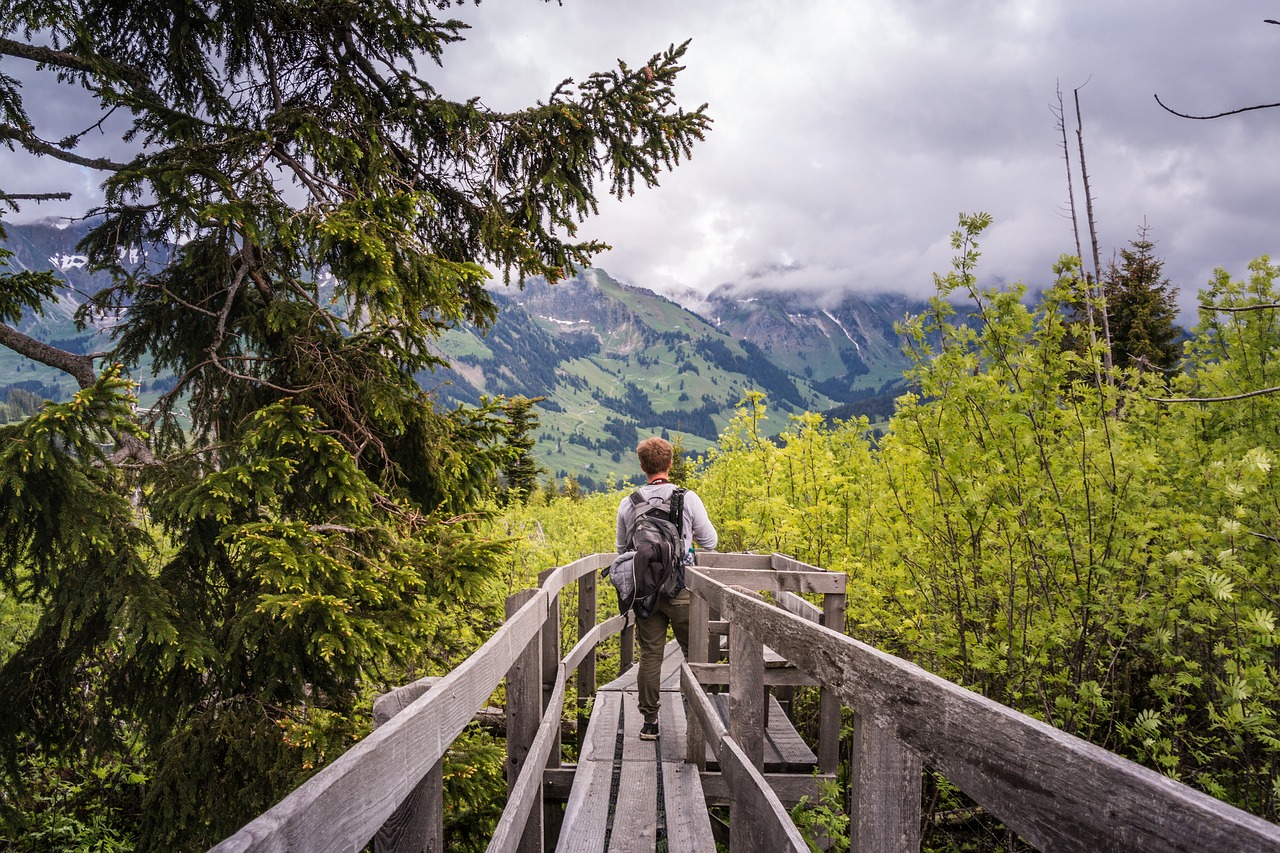 Image - hike summer boardwalk gäggersteg