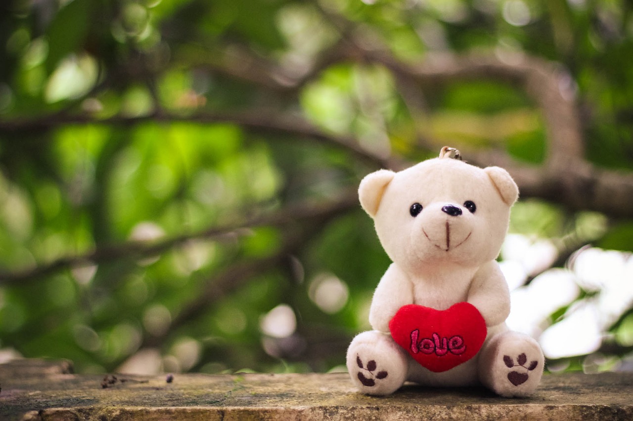 Image - teddy bokeh love