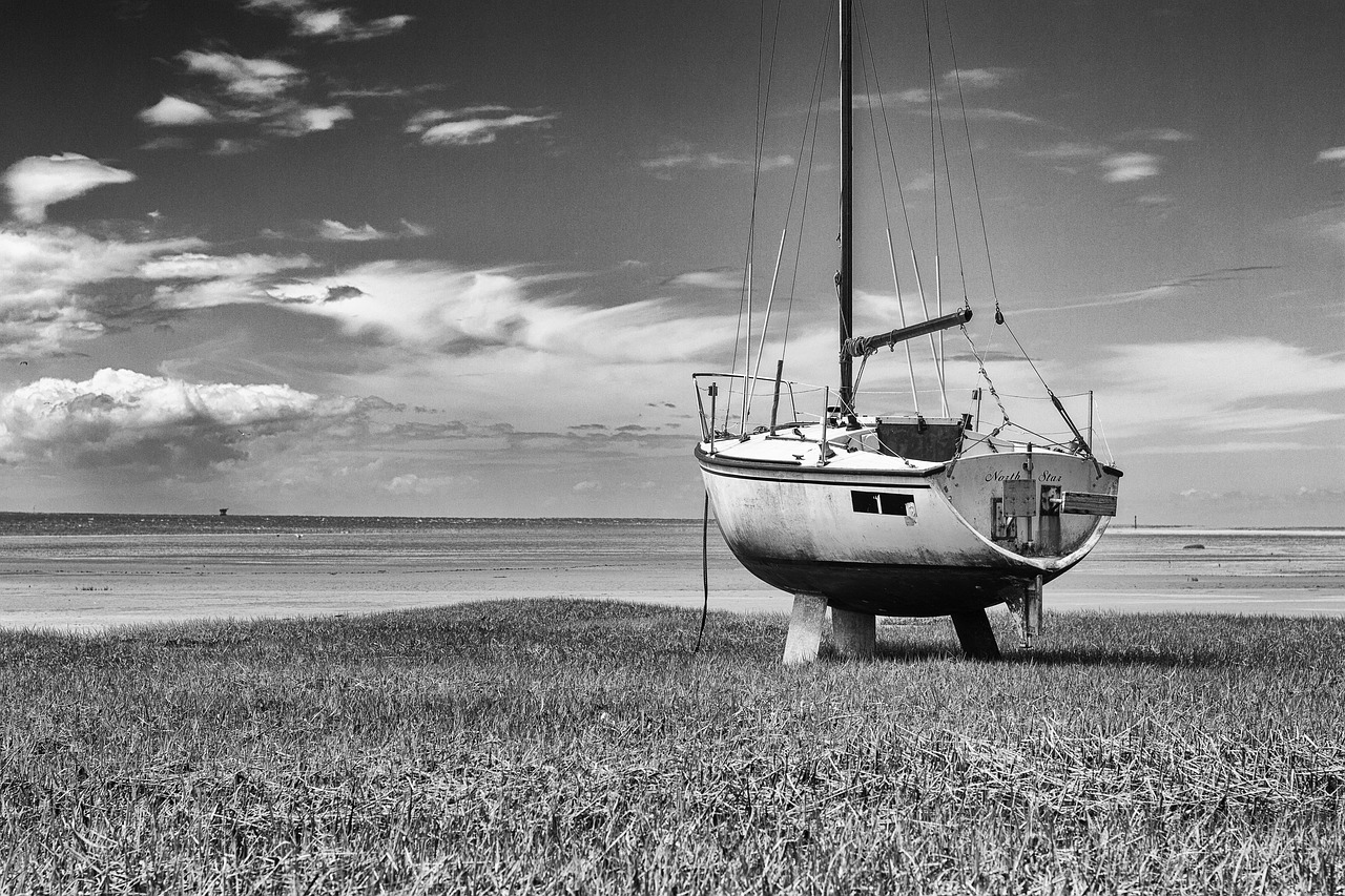 Image - abandoned boat b w