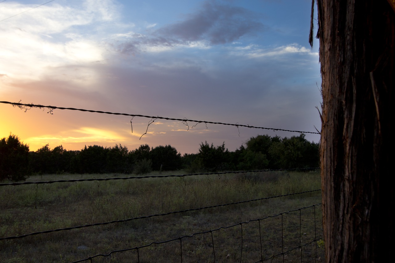 Image - wire sunset fence sky nature