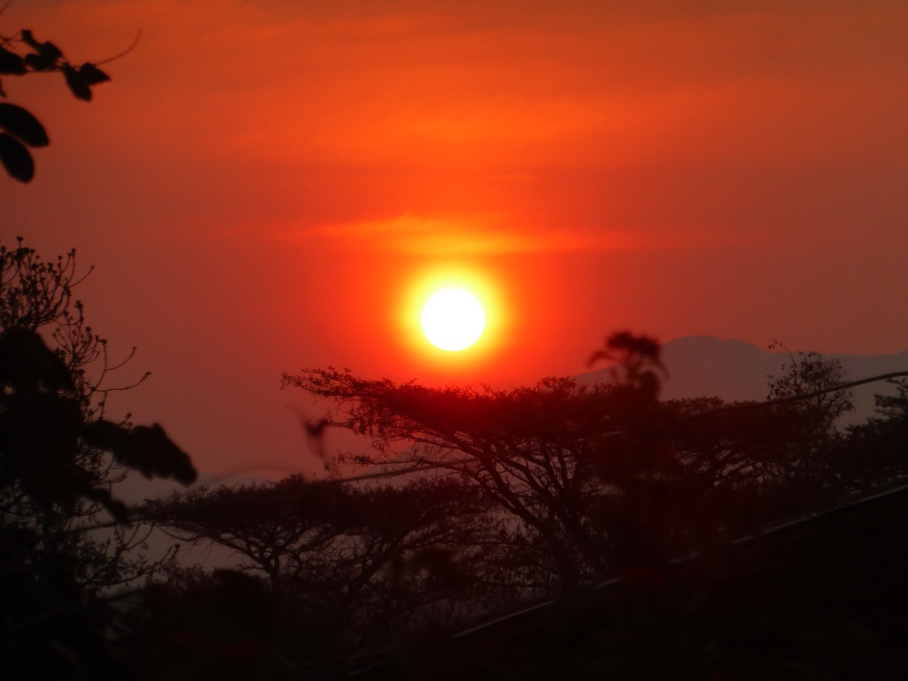 Image - eventide afternoon sol red angola