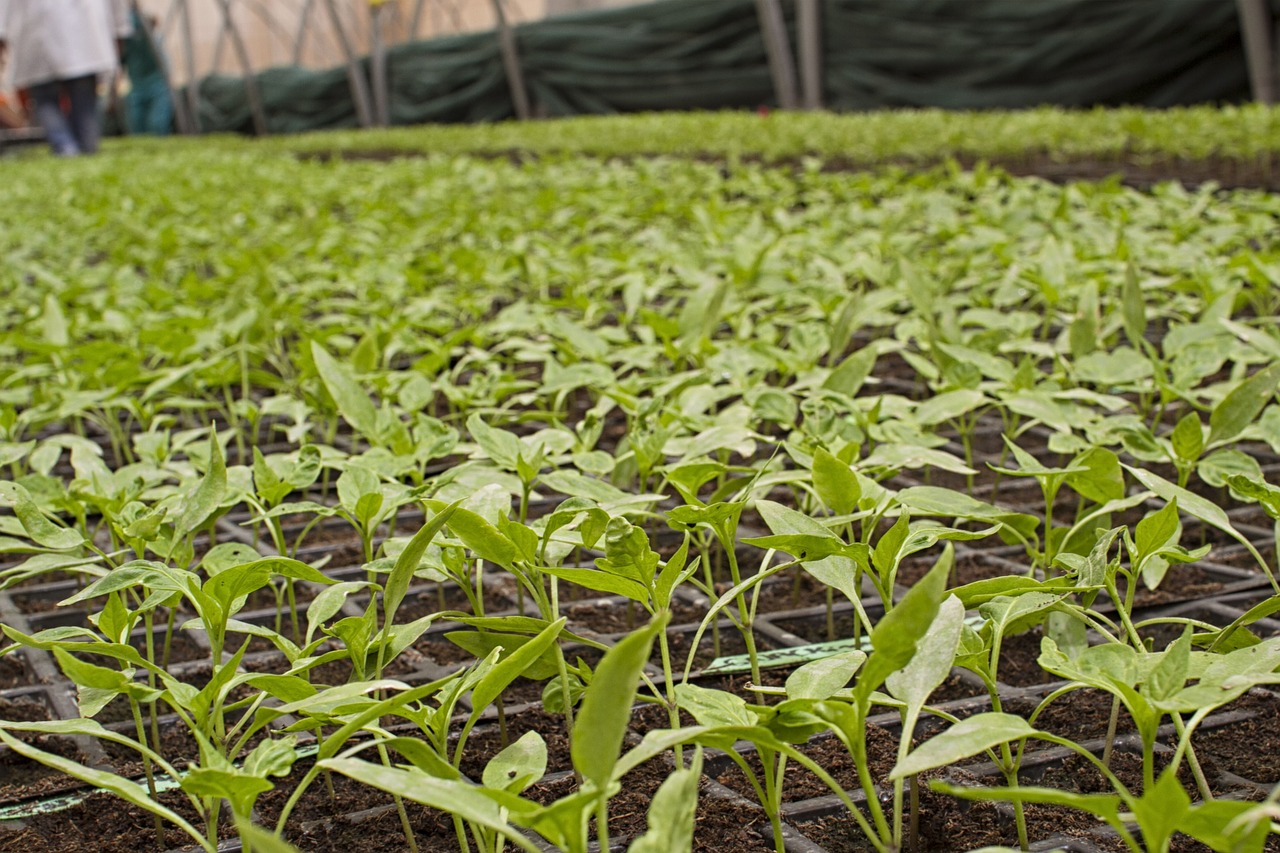 Image - agriculture bio farm power