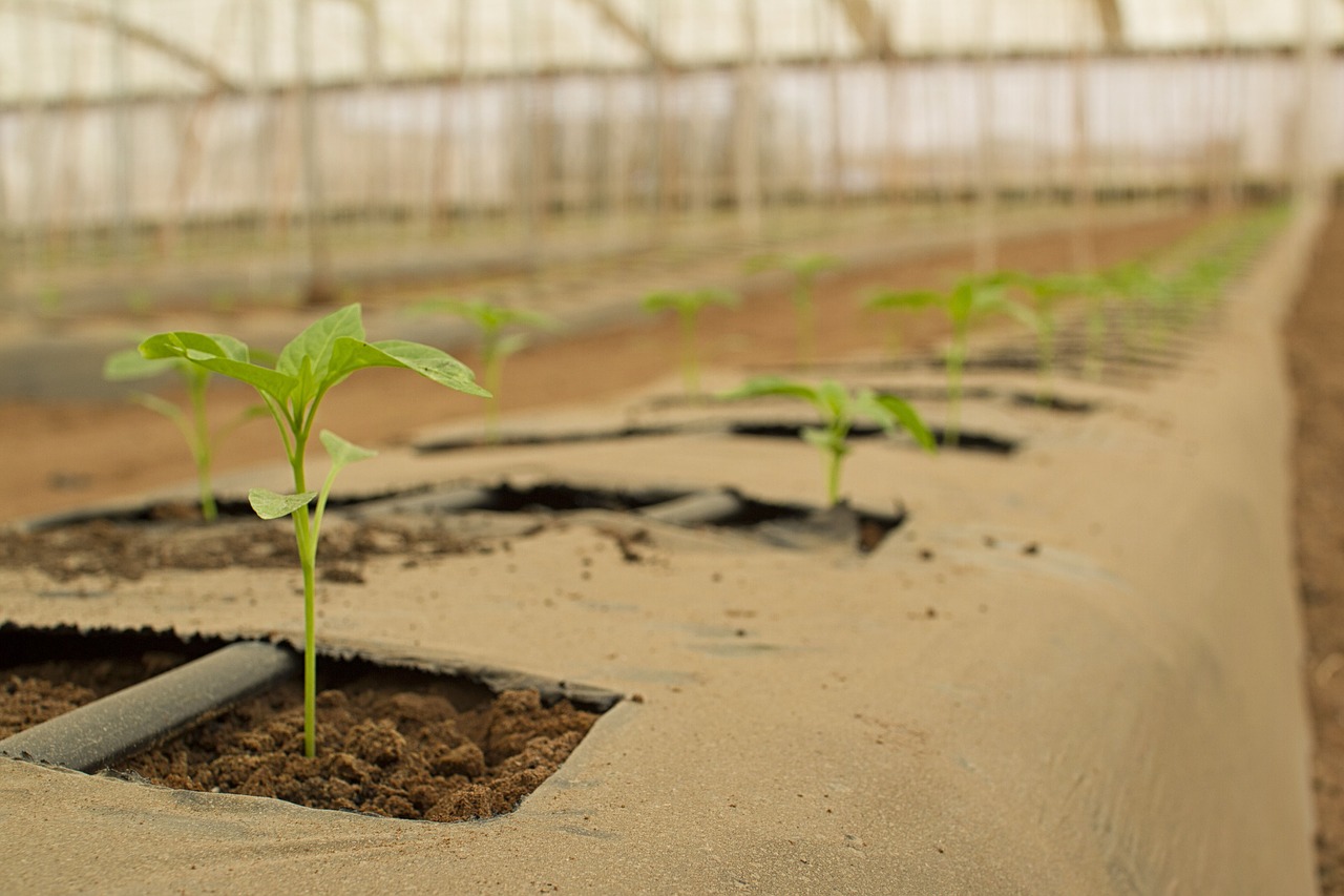 Image - agriculture bio farm power